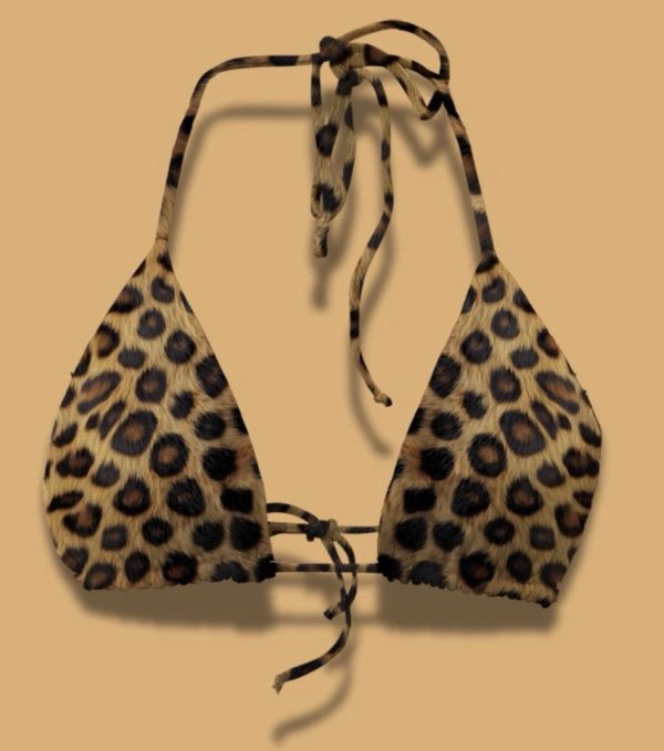 Top triangle Bengale