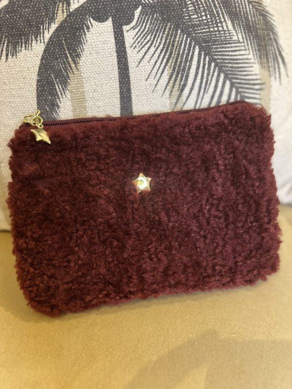 Pochette fourrure et étoile doré